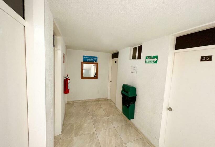 استودیوی استاندارد, Argentina