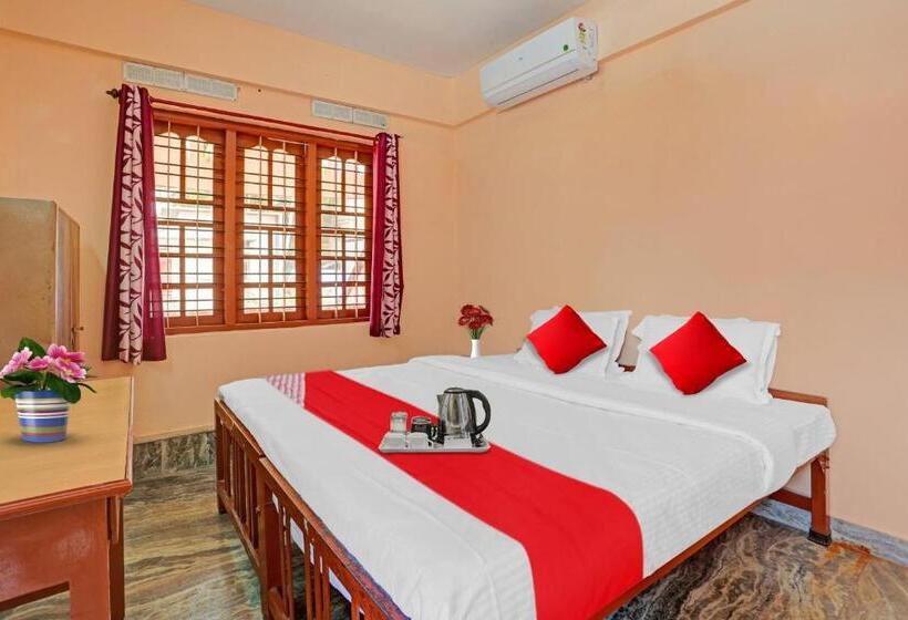 اتاق لوکس, O North Park Tourist Home