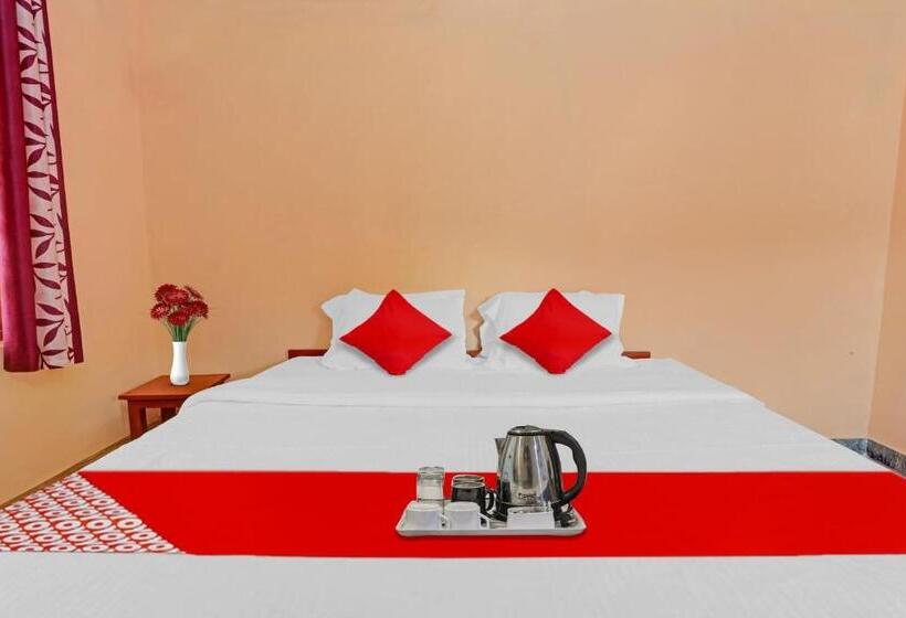 اتاق لوکس, O North Park Tourist Home