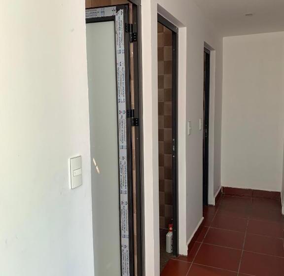 تختخواب در اتاق مشترک, Secret Garden Cat Ba