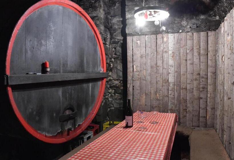 1ベッドルームのスーペリアアパートメント, Valtlhof Apt 1