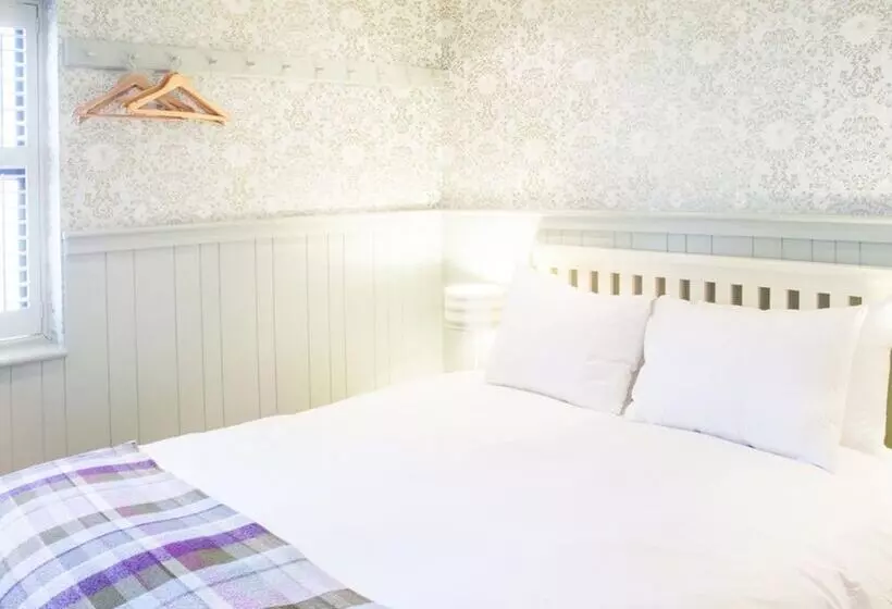 اتاق استاندارد, Brooks Guesthouse Bristol
