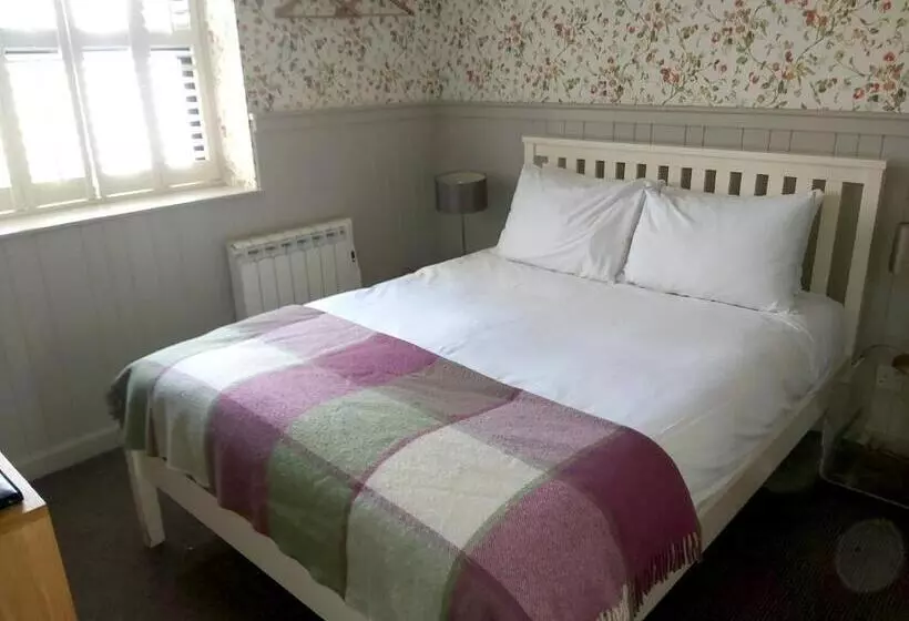 اتاق عادی, Brooks Guesthouse Bristol