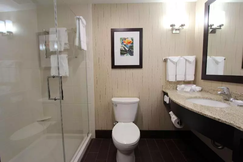 キングサイズベッドのスタンダードルーム, Hilton Garden Inn Findlay