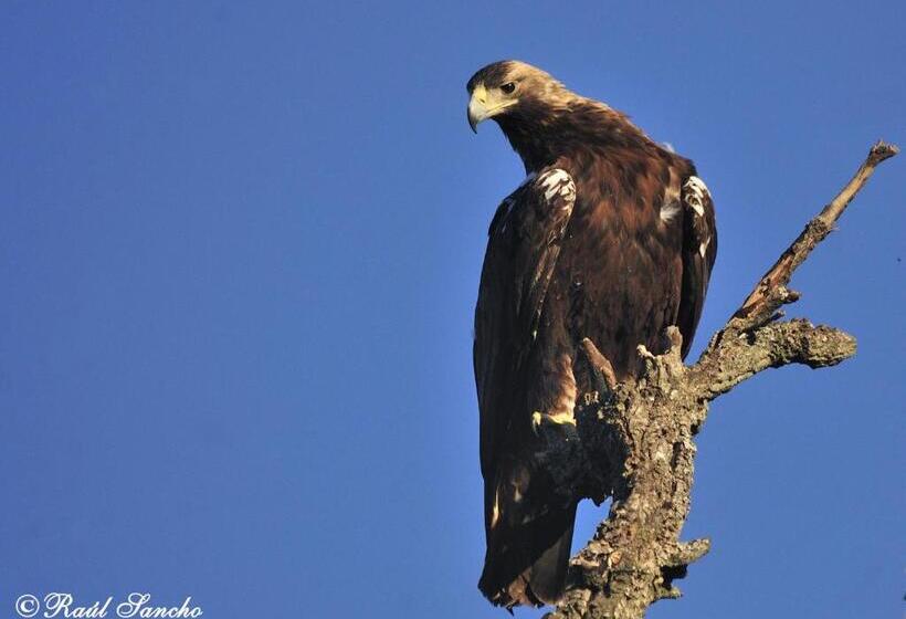 스탠다드 룸, Palacio Carvajal Giron