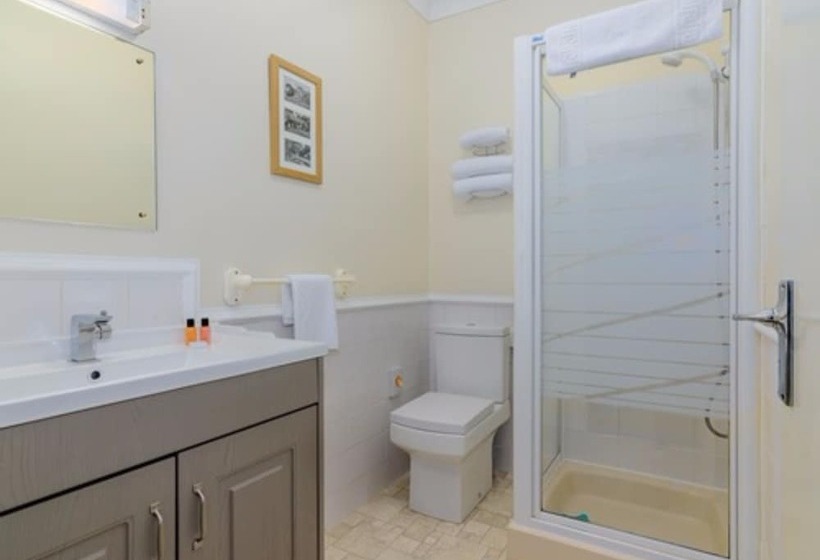 高级大房间, The Montana