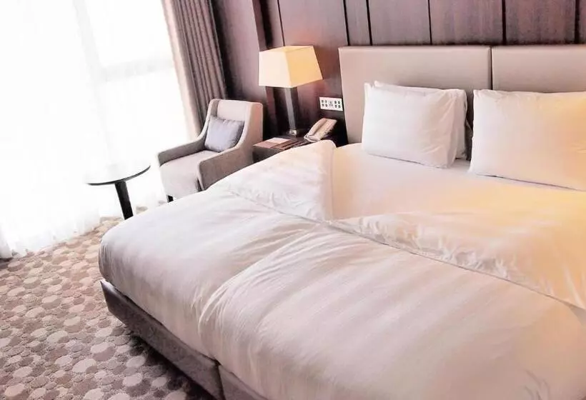 スタンダードルーム, Lotte City Hotel Daejeon