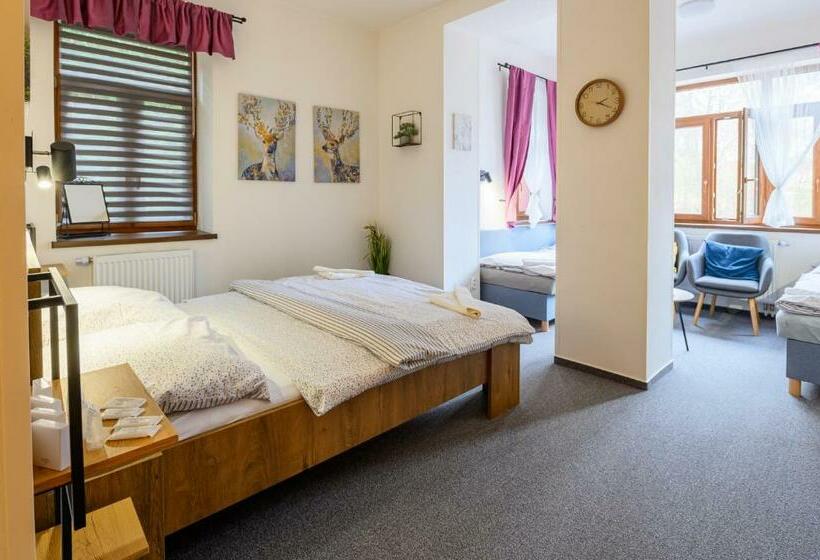 חדר אקונומי לארבעה, Penzion Zámeček