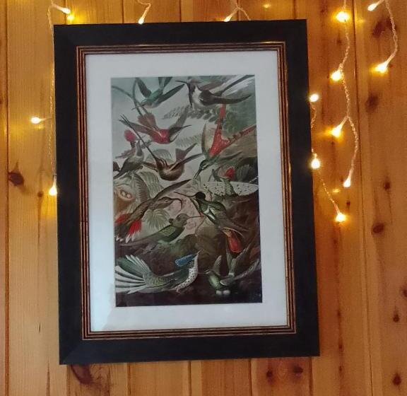 סטודיו סטנדרטי נוף לגינה, Pilgrims Of The Goddess