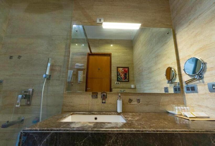 Люкс Superior, Millennium Inn, Prayagraj