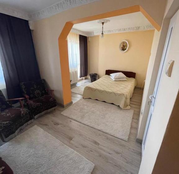 إستوديو قياسى, Motel Orion