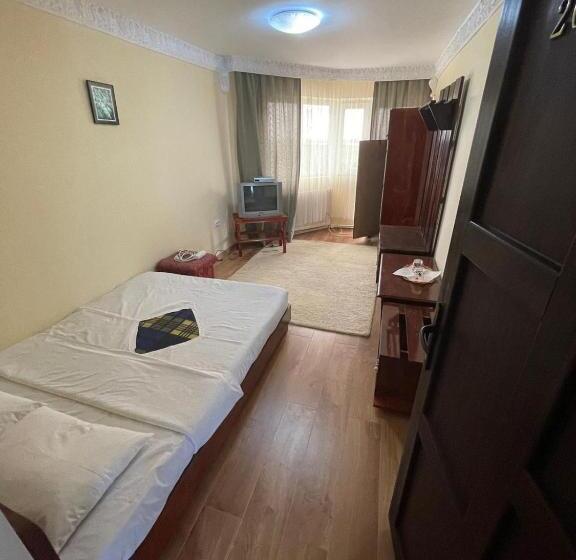 اتاق استاندارد با سرویس بهداشتی مشترک, Motel Orion