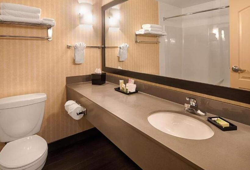 Стандартный Номер Кровать Кинг, Best Western Plus Meridian