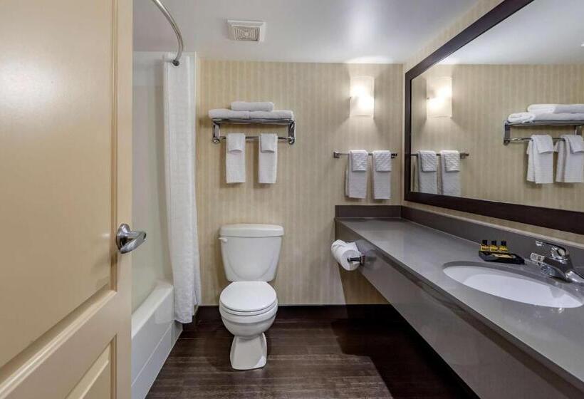 キングサイズベッドのスタンダードルーム, Best Western Plus Meridian