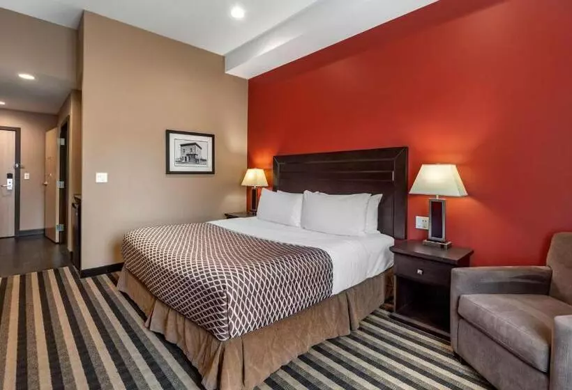 身障者適用キングサイズベッドルーム, Best Western Plus Meridian