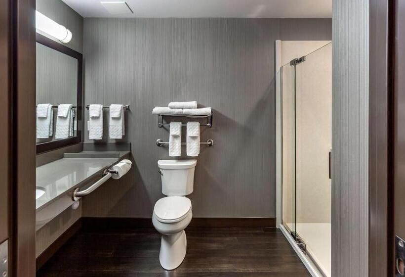 身障者適用キングサイズベッドルーム, Best Western Plus Meridian