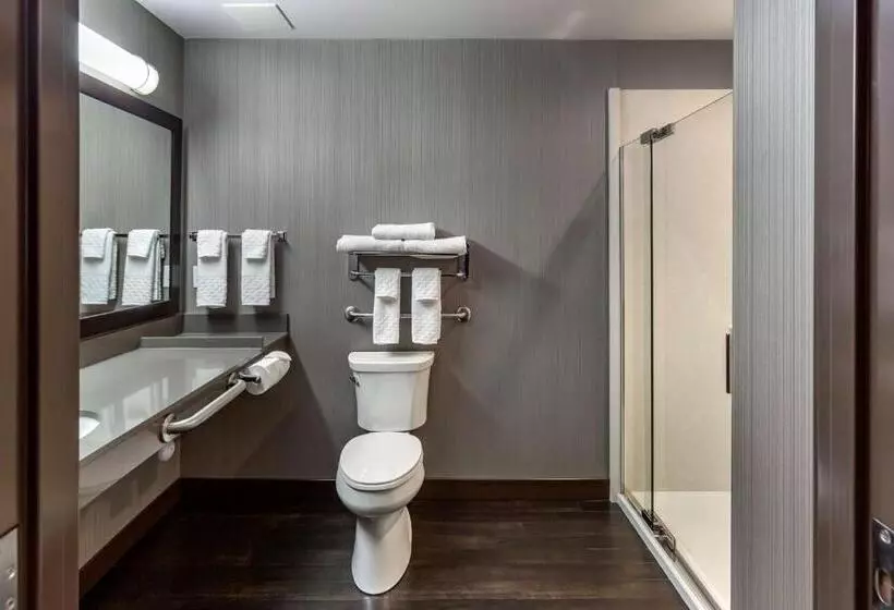 身障者適用キングサイズベッドルーム, Best Western Plus Meridian