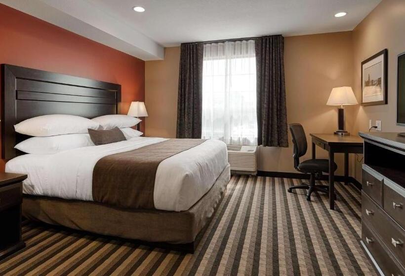 身障者適用キングサイズベッドルーム, Best Western Plus Meridian