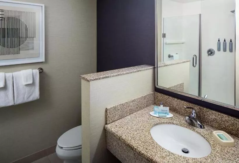 スタンダードルーム, Courtyard By Marriott Charleston Downtown/civic Center