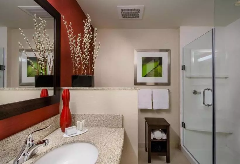 スタンダードルーム, Courtyard By Marriott Charleston Downtown/civic Center