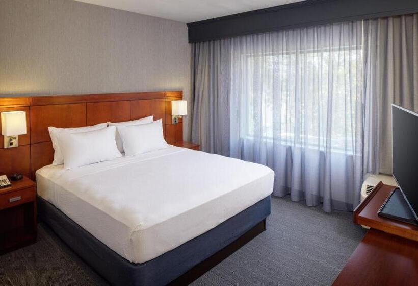 带大床的套房, Courtyard By Marriott Charleston Downtown/civic Center