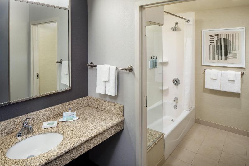 带大床的套房, Courtyard By Marriott Charleston Downtown/civic Center