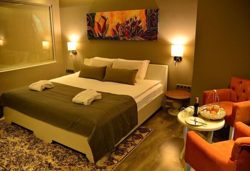 اتاق استاندارد, Doğa Thermal Health & Spa