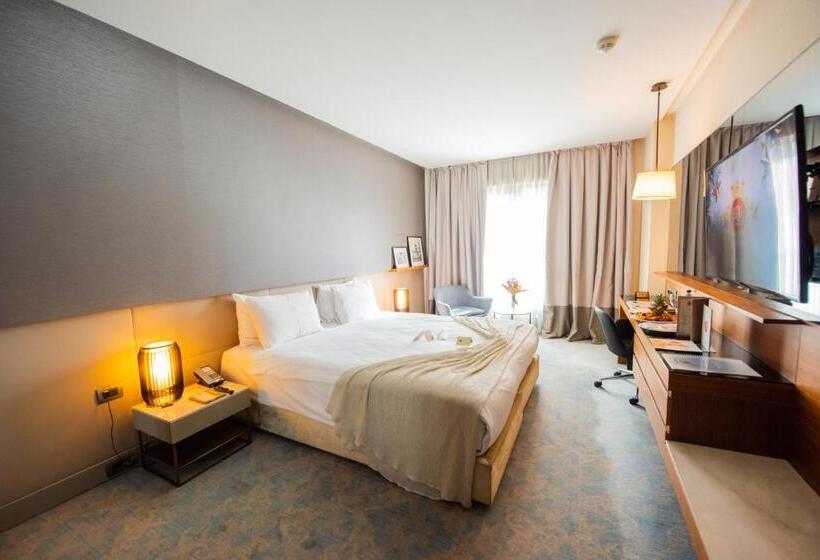 اتاق استاندارد, Dosso Dossi Hotels & Spa Downtown