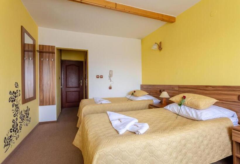 スタンダードルーム, Goralski Raj