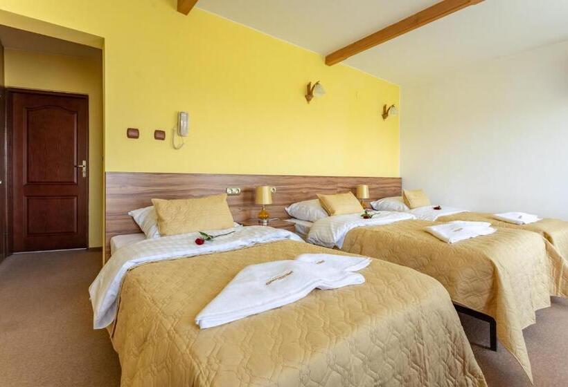 スタンダードトリプルルーム, Goralski Raj