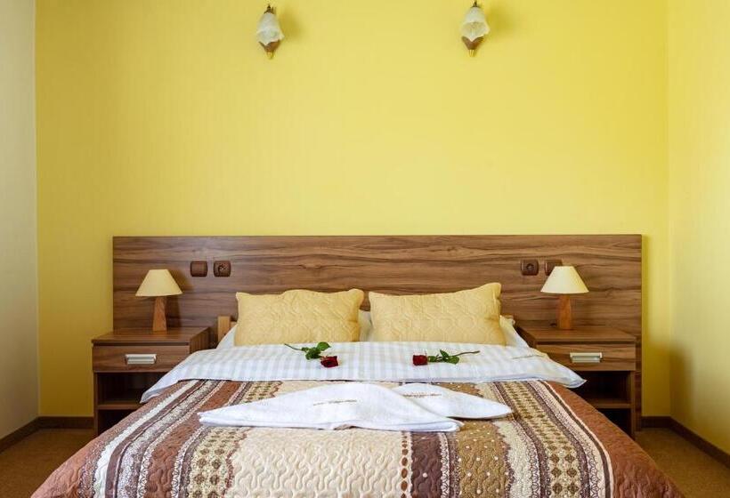 スタンダードシングルルーム, Goralski Raj