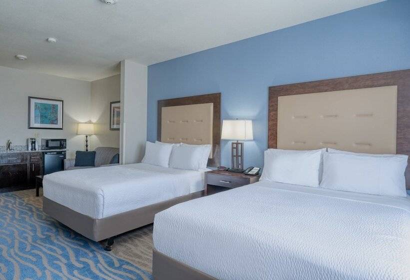 身障者適用スイートルーム, Holiday Inn Express And Suites Edwardsville, An Ihg