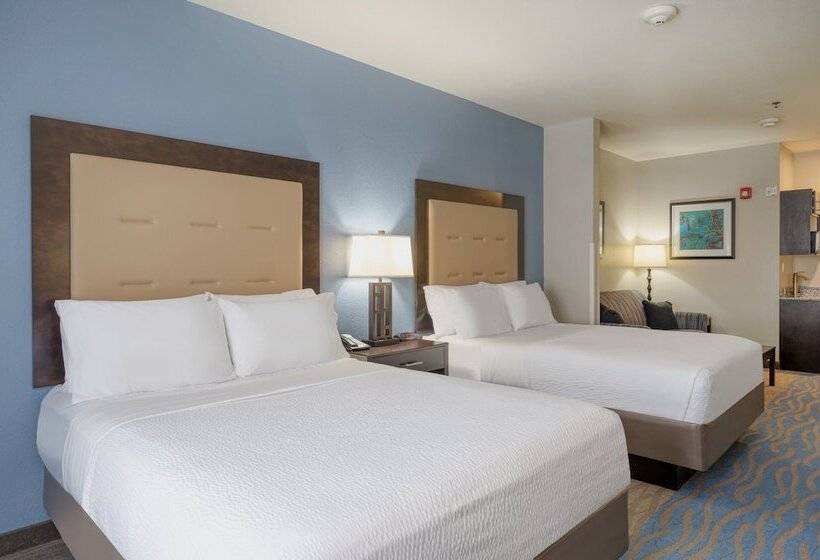 スイート, Holiday Inn Express And Suites Edwardsville, An Ihg