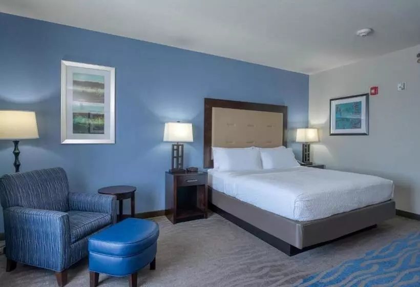 キングサイズベッドのスタンダードルーム, Holiday Inn Express And Suites Edwardsville, An Ihg