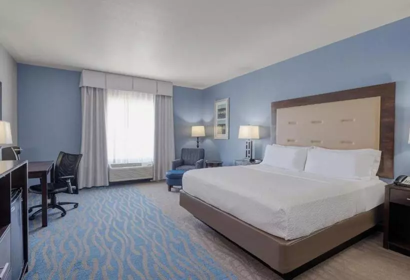 キングサイズベッドのスタンダードルーム, Holiday Inn Express And Suites Edwardsville, An Ihg