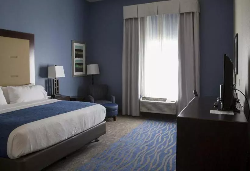 キングサイズベッドのスタンダードルーム, Holiday Inn Express And Suites Edwardsville, An Ihg