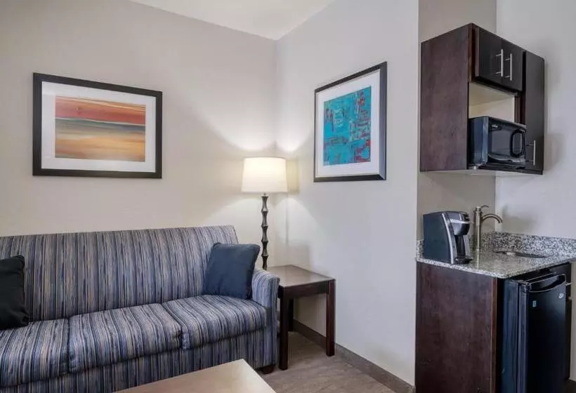 キングサイズベッドのスイートルーム, Holiday Inn Express And Suites Edwardsville, An Ihg