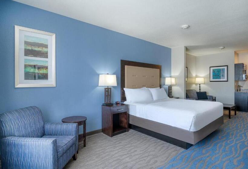 キングサイズベッドのスイートルーム, Holiday Inn Express And Suites Edwardsville, An Ihg
