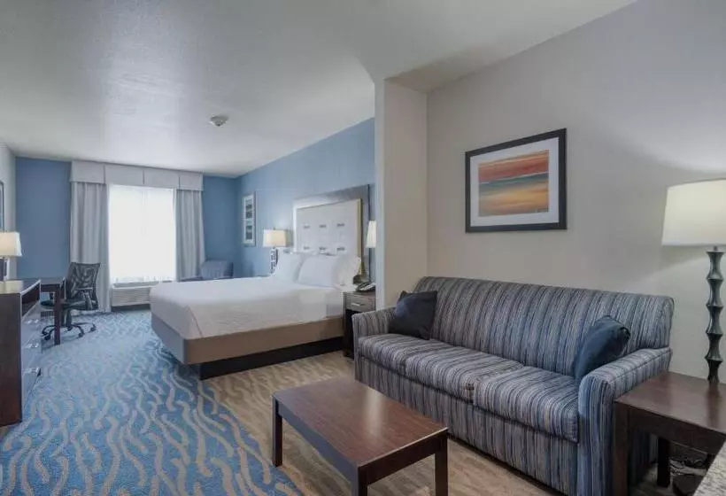 キングサイズベッドのスイートルーム, Holiday Inn Express And Suites Edwardsville, An Ihg