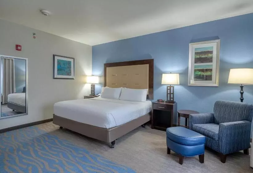 身障者適用キングサイズベッドルーム, Holiday Inn Express And Suites Edwardsville, An Ihg