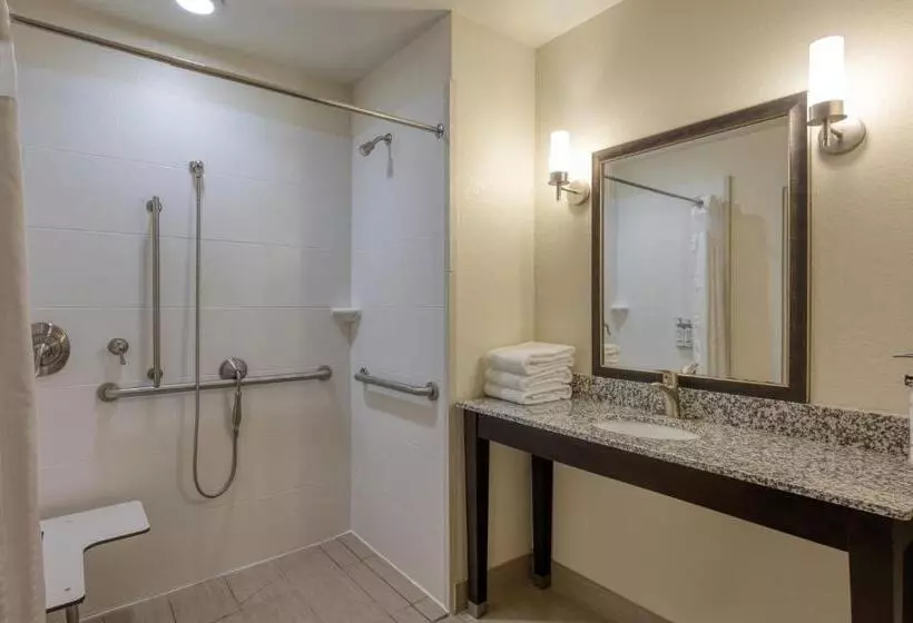 身障者適用キングサイズベッドルーム, Holiday Inn Express And Suites Edwardsville, An Ihg