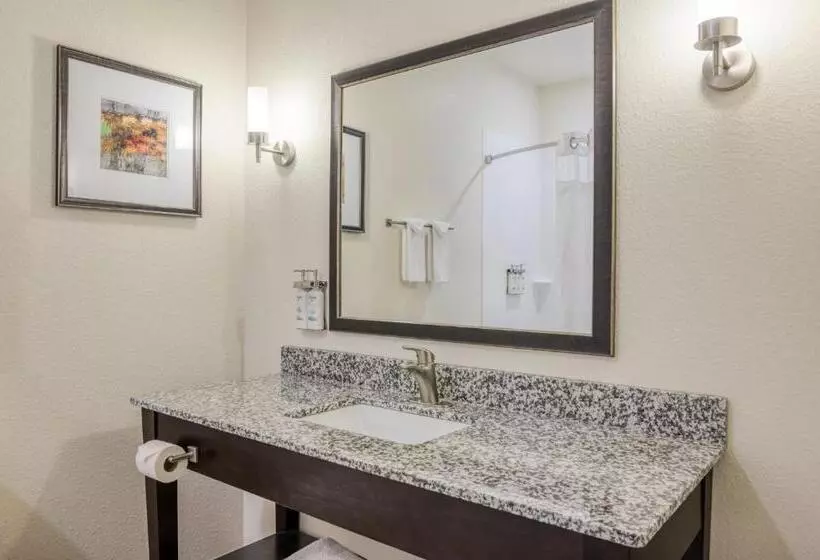 身障者適用スタンダードルーム, Holiday Inn Express And Suites Edwardsville, An Ihg