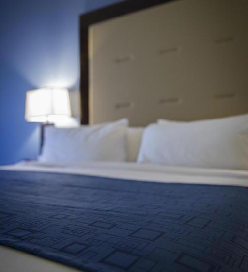 身障者適用スタンダードルーム, Holiday Inn Express And Suites Edwardsville, An Ihg