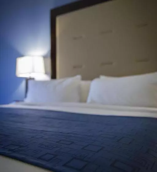 身障者適用スタンダードルーム, Holiday Inn Express And Suites Edwardsville, An Ihg