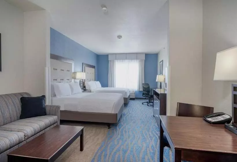 身障者適用スイートルーム, Holiday Inn Express And Suites Edwardsville, An Ihg