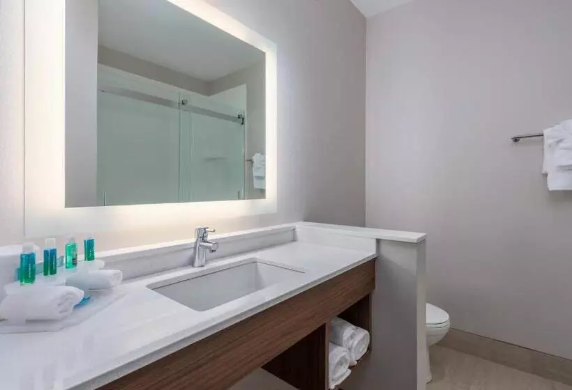 身障者適用スイートルーム, Holiday Inn Express And Suites Edwardsville, An Ihg