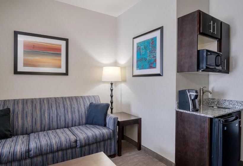 身障者適用スタンダードルーム, Holiday Inn Express And Suites Edwardsville, An Ihg