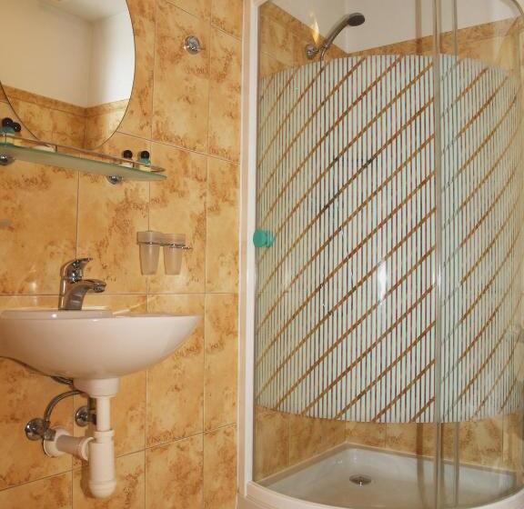 Номер Стандартный с Видом, U Zlatého Lva