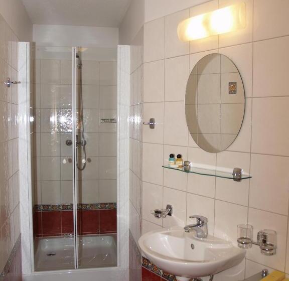 Номер Стандарт Внутренний, U Zlatého Lva