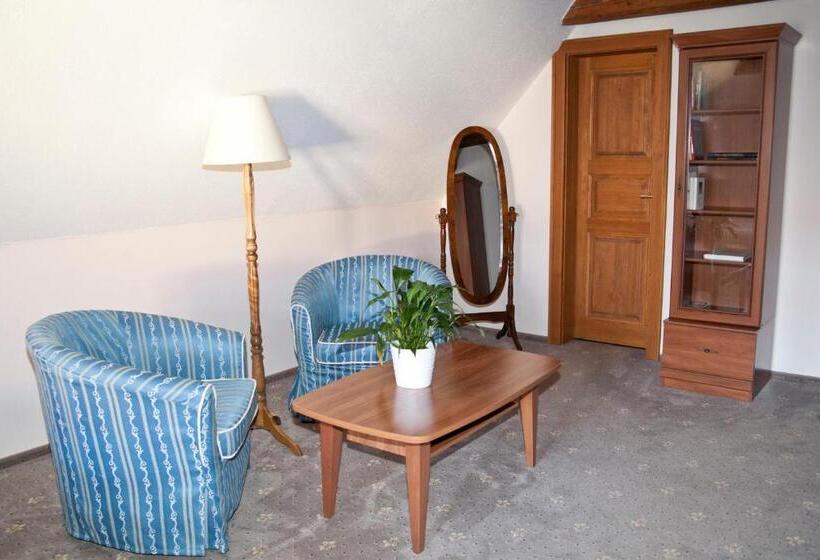 Номер Стандарт Внутренний, U Zlatého Lva